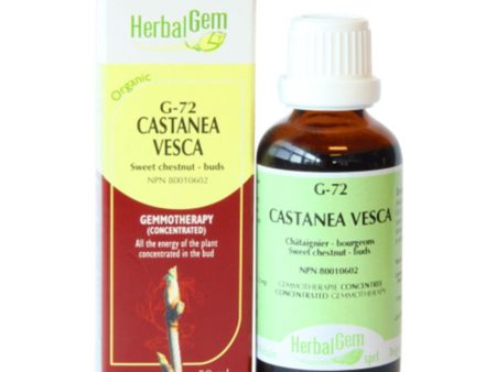 Herbalgem 
- g72 castanea vesca - 50 ml Supply