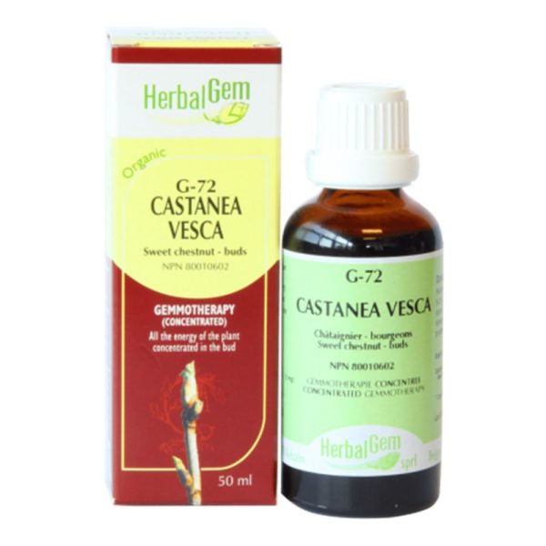 Herbalgem 
- g72 castanea vesca - 50 ml Supply