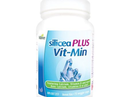 Hubner - silice plus vit-min - 75 vcaps (boni) For Discount