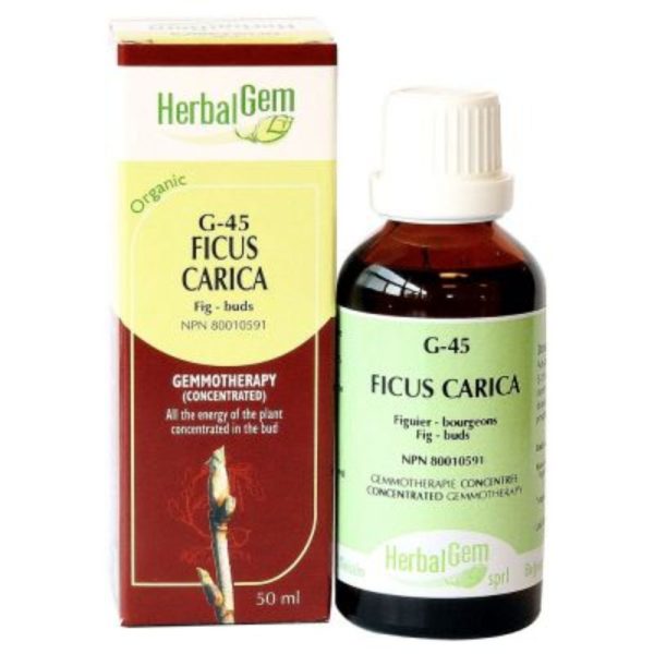 Herbalgem 
- g45 ficus carica - 50 ml Hot on Sale