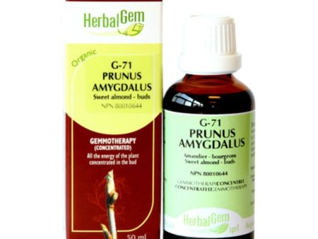 Herbalgem 
- g71 prunus amygdalus - 50 ml Online Hot Sale