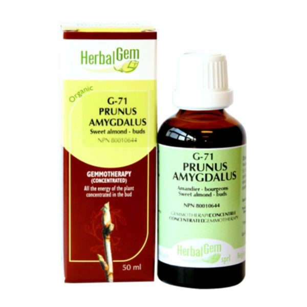 Herbalgem 
- g71 prunus amygdalus - 50 ml Online Hot Sale