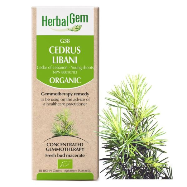 Herbalgem 
- g45 ficus carica - 50 ml Hot on Sale