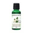 Aromaforce - essential oil : absolute jasmin 2% - 15 ml Hot on Sale