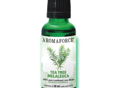 Aromaforce - essential oil : tea tree - 30 ml Sale