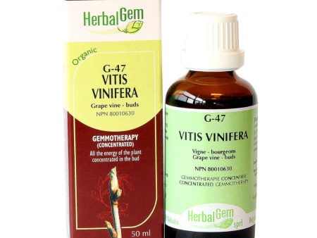 Herbalgem
 - g47 vitis vinifera - 50 ml on Sale