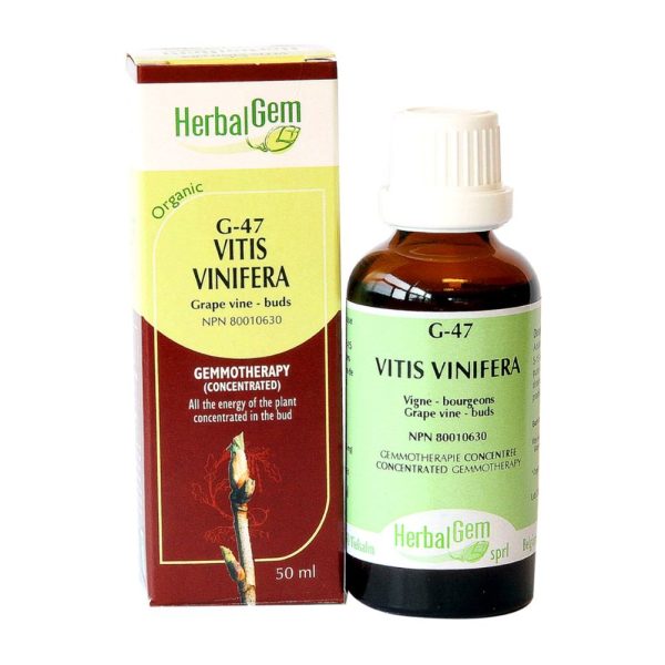 Herbalgem
 - g47 vitis vinifera - 50 ml on Sale