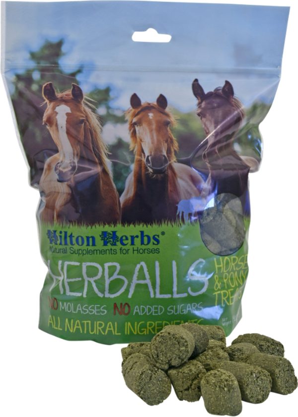 Hilton Herbs Ltd - Herballs Horse Treat Discount