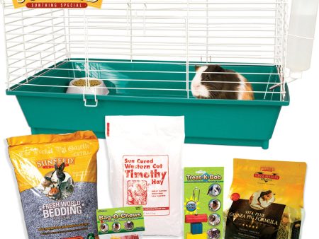 Ware Mfg. Inc. Bird sm An - Home Sweet Home Sunseed Starter Kit Guinea Pig For Discount