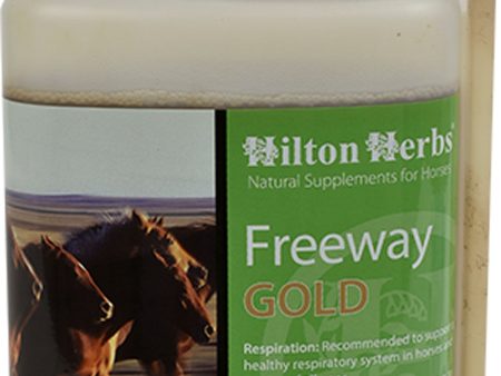 Hilton Herbs Ltd - Freeway Gold Respiratory Supplement For Horses Online now