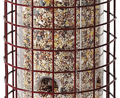 Woodstream Wildbird - Dilemma E-z Caged Bird Feeder For Cheap