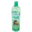 Tropiclean - Fresh Breath Water Additive Online Hot Sale